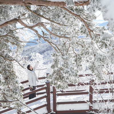 발왕산 상고대 모습.<사진제공=평창군>