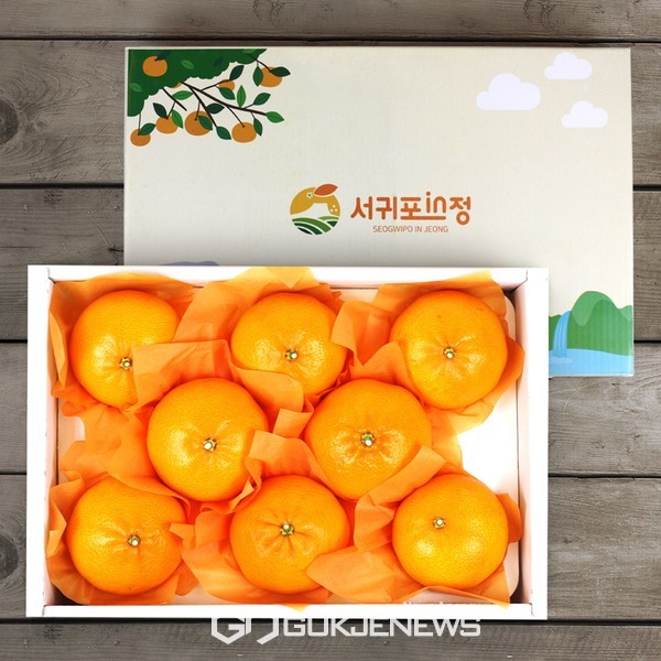 서귀포시 공식 온라인 쇼핑몰'서귀포in정'이 2024년 설 기획전 ‘갑진(甲辰) 이벤트’를 추진한 결과 25억 1100만원의 매출을 기록하며, 역대 단일 기획전 최고 매출액을 초과 달성했다.[사진=서귀포시청]