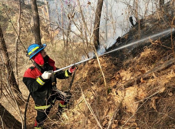 사진/산림청 제공