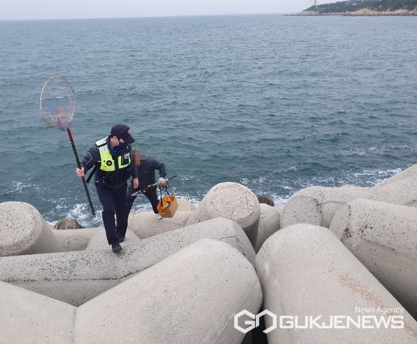 / 사진=군산해경