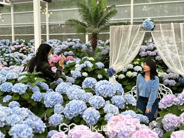 제주관광공사는 중국 화남지역 개별관광객(FIT: Foreign Independent Traveller) 유치 활성화를 위해 지난 20일부터 23일까지 3박 4일간 언론 매체, 인플루언서, 여행사 관계자를 제주로 초청해 팸투어를 진행했다.[사진=제주관광공사]