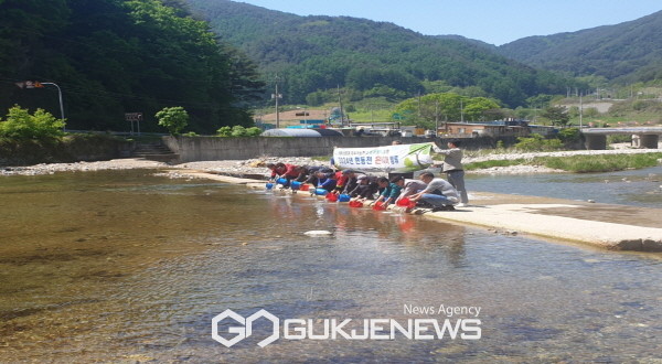 봉화군, 현동천 은어치어 방류행사 개최