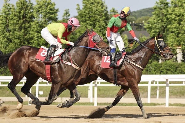 서울마주협회장배 우승마 쏜살과 다실바 기수 결승선 통과 장면(사진자료=한국마사회)