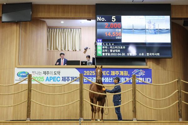 올해 두 번째 경주마 경매 개최(사진제공=한국마사회)