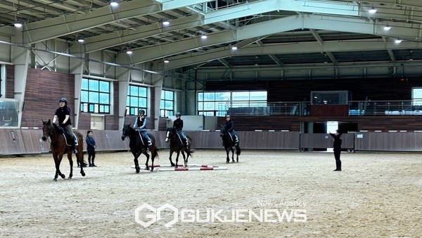 제주도는 안전한 승마문화 조성을 위해 승마장 상해보험료 지원사업을 도내 59개소 승마장을 지원할 계획이다.[사진=제주도]