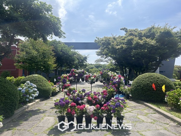 올해 주요 행사 프로그램으로는, 사랑의 헌혈 나눔 행사, 수국꽃길 구석구석 미니 포토존 운영, 해설사와 함께하는 “건강·힐링” 곶자왈 생태탐방 프로그램에다 다채로운 체험(홍보)부스와 버스킹 공연으로 즐길거리를 한층 더할 예정이다.[사진=안덕면]