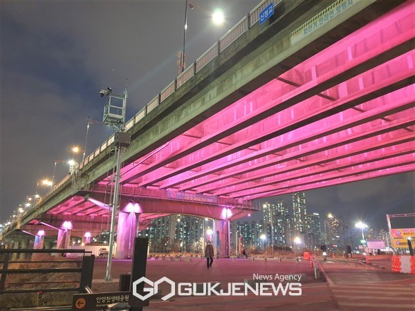 신정교 하부에 설치된 경관 조명 (분홍빛) [사진제공=영등포구청]