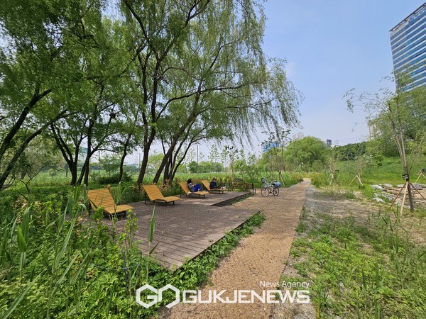 버드나무 군락지 식생복원 및 생태쉼터 조성 [사진제공=영등포구청]