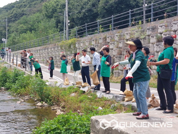 처인구 양지면 새마을부녀회가 양지천 수질 개선을 위한 EM흙공 던지기 행사를 열었다(사진=용인시)
