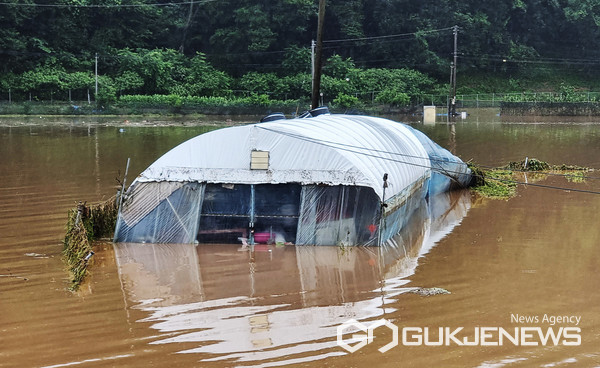 대전 서구 용촌동 한 마을이 침수돼 주민 30여명이 고립된 가운데 대전소방본부 119구조대원들이 보트를 타고 주민들을 구조하고 있다. 2024년 장마기간, 장마전선 위치 영향으로 많은 비가 내렸다.  (사진=국제뉴스)