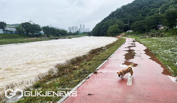 2024년 장마기간, 장마 정체전선의 영향으로 대전 유등천이 불어나 범람위기까지 이르러 도마동과 유천동을 연결하는 유등교 지반이 침하됐다.  사진은 대전천 물이 찬 모습 (사진=국제뉴스)