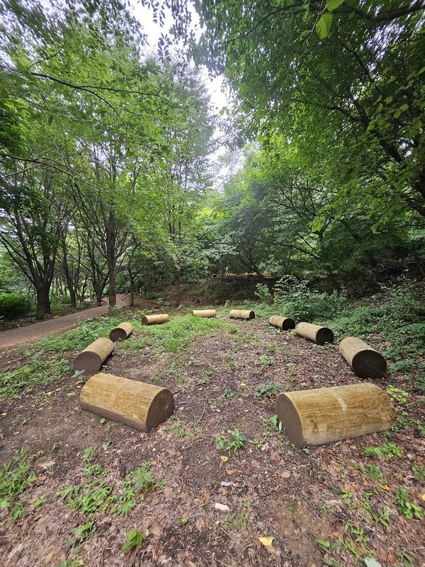 우면산 무장애숲길 벚꽃 놀이터_통나무 쉼터 (사진/서초구 제공)