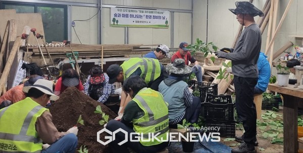 절물생태관리소에서는 산수국 500여 본을 직접 양묘해 오는 9월에서 10월 식재를 목표로 꺾꽂이(삽목)를 이용한 자연 친화적 산수국 꽃길을 조성할 계획이다.[사진=절물생태관리소]