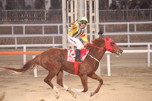 16년 그랑프리 함완식 기수와 클린업조이의 결승선 통과 장면(사진=한국마사회)