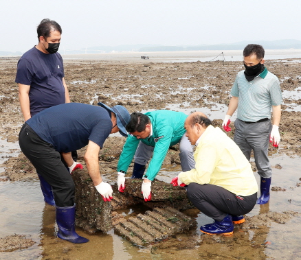 충남 태안군의회 김진권의원과 김영인 의원이 지난 25일 곰섬을 방문해 해삼 서식환경을 확인하고 있다(사진/독자제공)