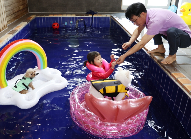 충남 태안군 만리포 해수욕장 일원에서 지난 8일 반려동물 동반 여행 숙박객 모습(사진/태안군)