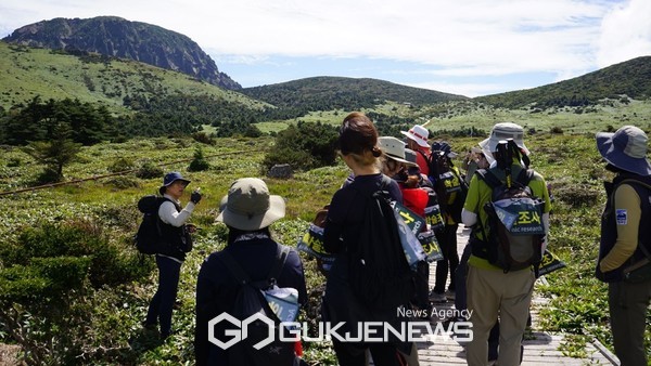 제주도 세계유산본부 한라산국립공원관리소는 26일 한라산 깃대종 구상나무 특별프로그램을 어리목탐방로 만세동산 및 방아(제주어 방애)오름 일대에서 이날 오전 10시 30분부터 오후 3시까지 진행한다.[사진=제주도]