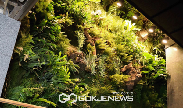 서귀포시는 올헤 10억원을 들여 서귀포시청 2청사에 옥상정원과 벽면녹화를 조성하고 감귤박물관에는 테마수직정원 및 수평정원, 행잉정원을 조성 중에 있다.[사진=서귀포시청]