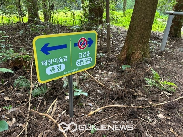 서귀포 산림휴양관리소는 붉은오름자연휴양림 내 숲길 길잃음 방지를 위해 총 15개의 주요 구간 내 노후된 안내판을 교체했다.[사진=서귀포시청]