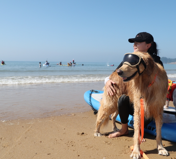 충남 태안군 만리포 해수욕장의 한 장면(사진/태안군)