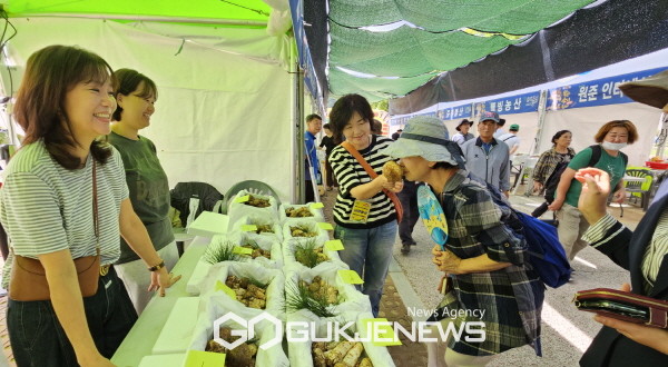 지난해 송이판매장 모습