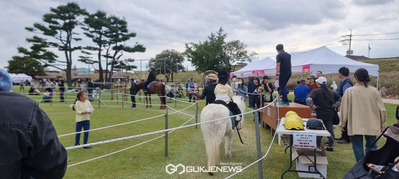 3일 서산해미읍성축제장 승마 유료 체험 프로그램도 가족 인파로 줄을 서 순번을 기다려야 체험이 가능했다(사진/백승일 기자)
