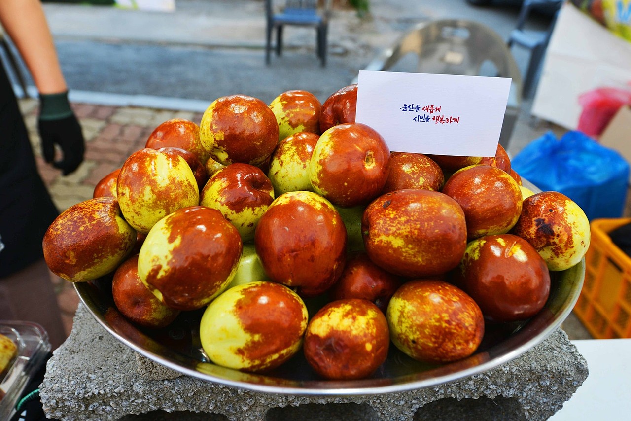 눈으로 보아도 달달함이 넘치는 대추 꼴깍 ~ 침 넘어 갑니다 (국제뉴스)