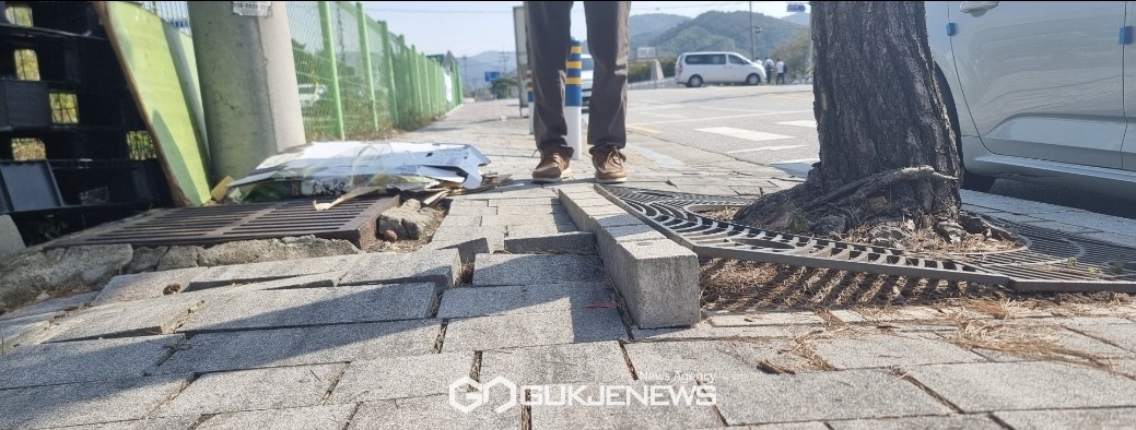 17일 충남 서산시 해미읍성 인근의 인도가 관리부실로 보행자의 안전을 위협하고 있다(서산/백승일 기자) 