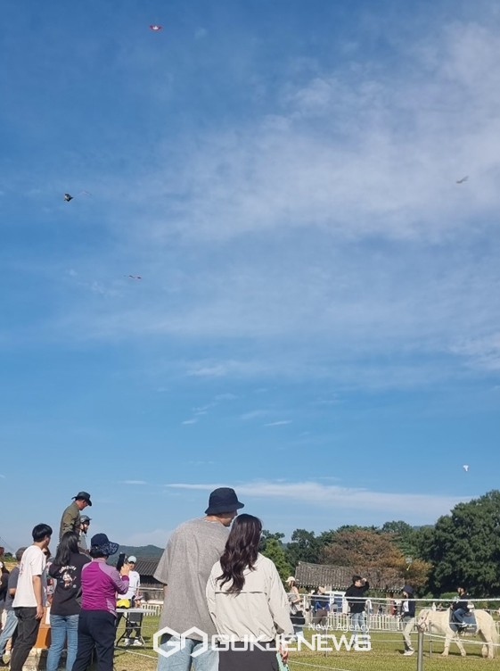 제21회 서산해미읍성축제 기간 동안 운영된 어린이 승마체험장 머리 위로 관광객들이 연을 날리고 있어 연이 승마장에 낙하 시 중대 사고가 발생할 우려가 발생했다(사진/백승일 기자)