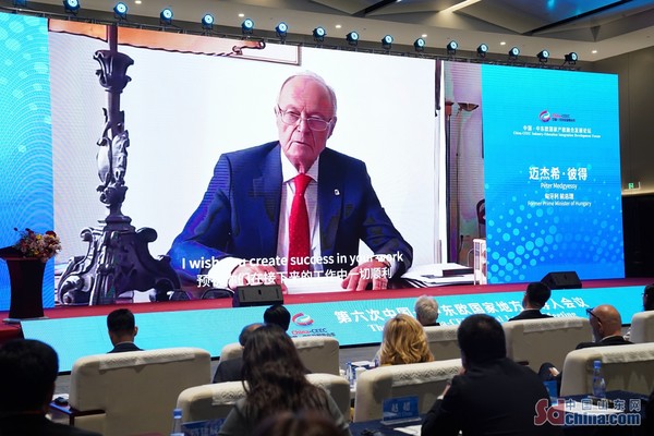 (사진-중국산둥망)