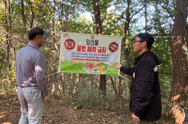 24일 충남 서산시 부춘산 일원에서 진행된 임산물 불법 채취 단속