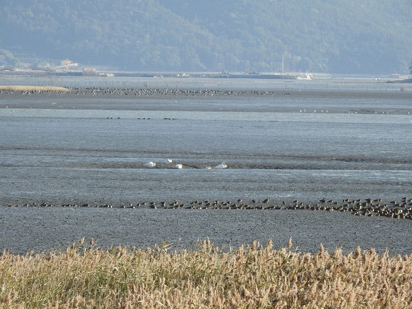 ⓒ사진제공=순천시청