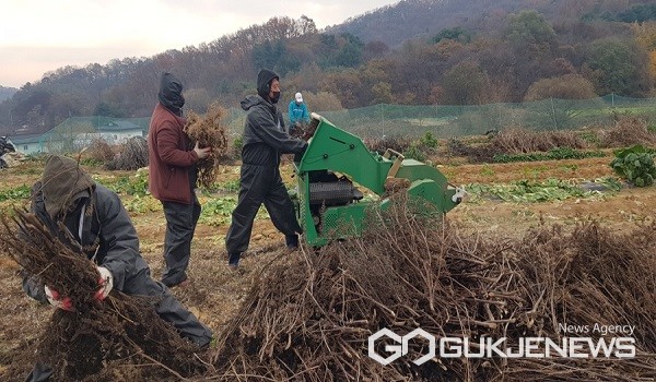 (제공=음성군청)