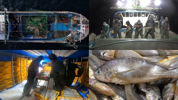 목포 참조기, 완주 토종 생강 (사진=EBS1 '극한직업')