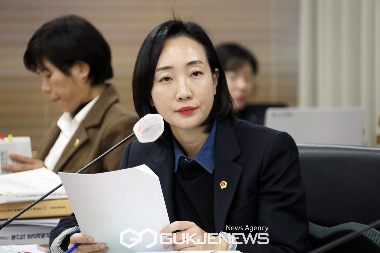 세종시의회 김효숙 의원