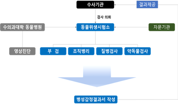 수의 법의 검사 수행 체계도