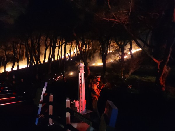 사진제공/산림청