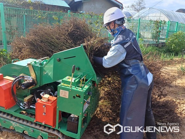 (제공=옥천군청)