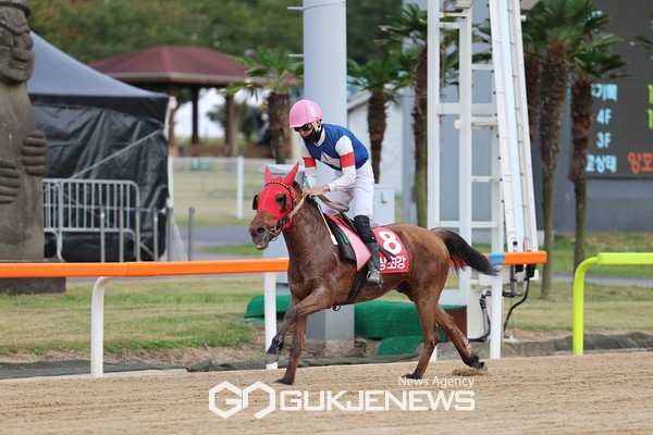 츠런파크 제주의 2024년 한 해를 결산하고 활약을 선보인 주인공을 뽑는 ‘2024년 제주경마 연도대표상 시상식’이 지난 21일 렛츠런파크 제주에서 개최됐다.[사진=렛츠런파크 제주]