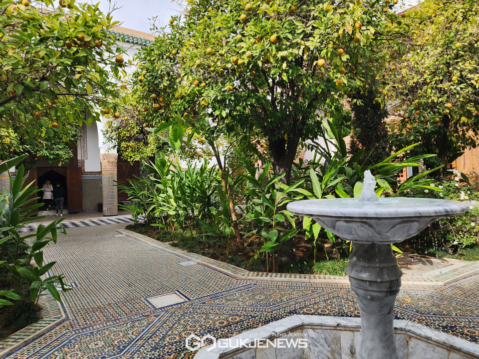 사진/유지현 기자