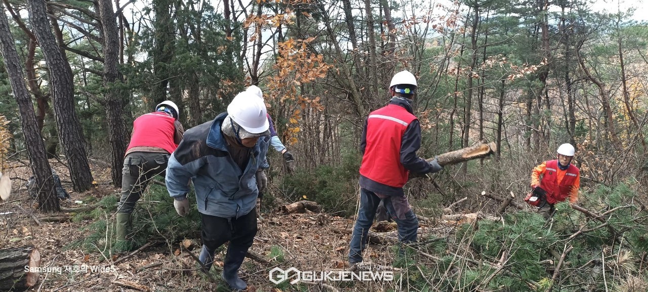 (제공=경주시) 지난해 소나무재선충병 방제사업 현장