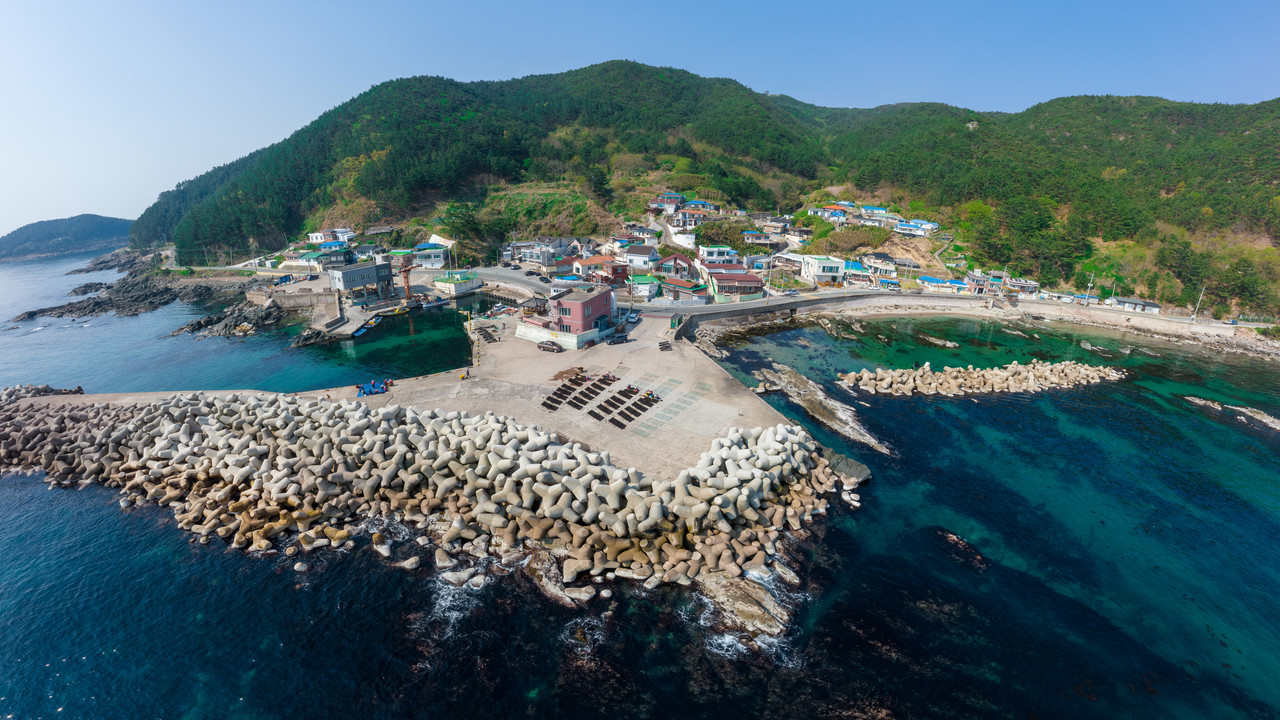 (사진제공=영덕군)