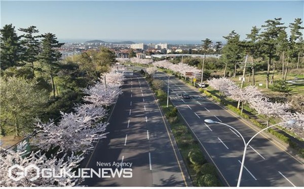 제주도는 16일  ‘숲으로 도시를 품다’를 비전으로 내건 이번 계획은 녹지 확대를 넘어 생태적 가치 창출과 도민 체감도 향상에 중점을 둔 '제주숲 공간혁신 시즌2’ 구상안을 발표했다.[사진=제주도]