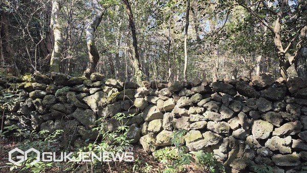 서귀포시는 서귀포 치유의 숲 방문객에게 다양한 산림휴양서비스 제공을 위해 지역주민으로 구성된 산림휴양해설 ‘잣담길 걸으멍 코스’ 신규 프로그램을 오는 2월부터 운영한다.[사진=서귀포시]