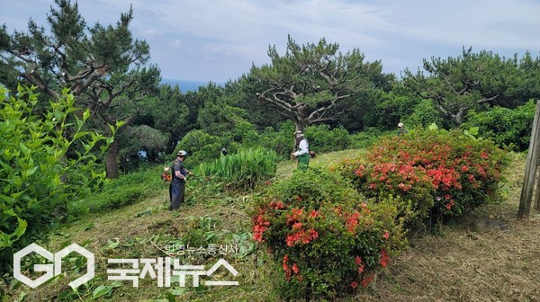 서귀포시가 공원을 이용하는 시민의 안전사고 예방과 쾌적한 공원 환경 조성을 위해 사업비 3억7300만원을 들여 도시공원 환경 및 시설물 정비 사업을 추진한다.[사진=서귀포시]
