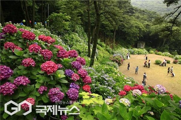 태종대유원지(수국) 전경