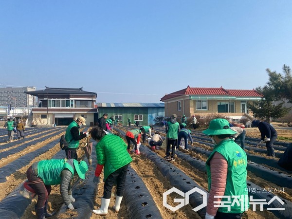 (제공=음성군청)