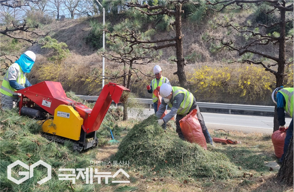 소나무 폐임목 파쇄작업 모습