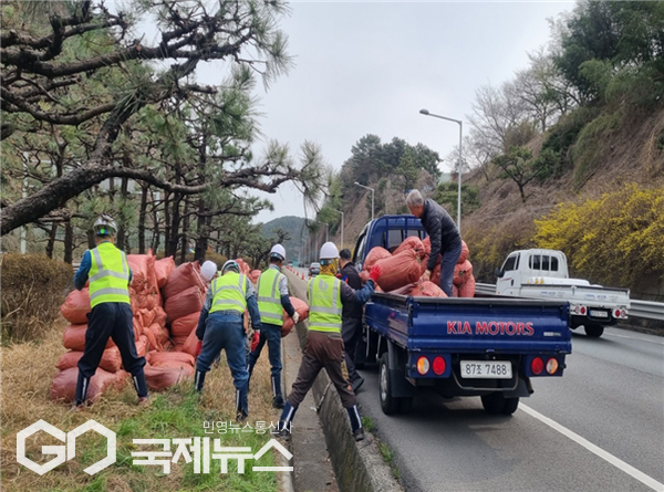 공단 도로처가 소나무 폐임목으로 만든 우드칩을 지역 농가를 위해 옮기고 있다