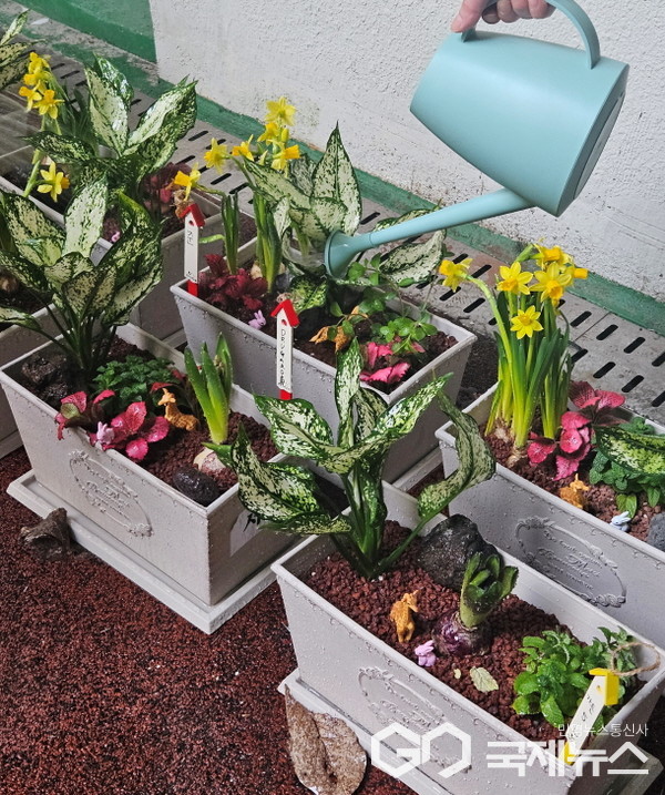 용인시농업기술센터는 24일부터 마약중독 입원 환자를 위해 8회에 걸쳐 치유원예교육을 제공한다(사진=용인시)